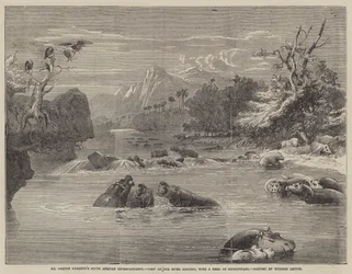 Mr. Gordon Cummings südafrikanische Unterhaltung, Blick auf den Fluss Limpopo mit einer Herde Nilpferde